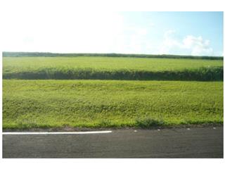 Uma área de terra urbana consistente do lote nº 323 