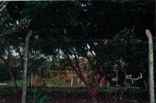 Quadrante 06, quadrícula 3, setor 45, quadra 05, lote n° 0125