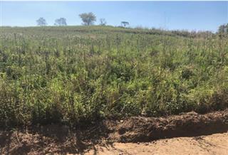 Lote de Terras n° 87-A Remanescente, com 2,70 alqueires, iguais a 65.340,00 m² - Barbosa Ferraz, PR