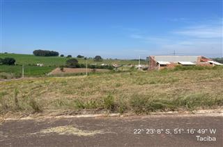 Lote n° 16, sem benfeitorias, da quadra "G", do loteamento residencial Jardim Patrícia, com área de 253,00m², cidade de Taciba, SP