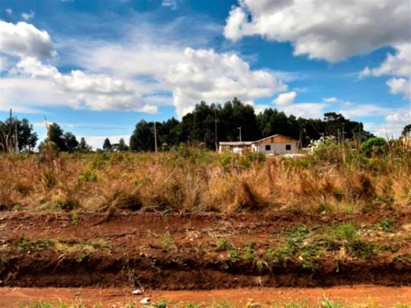 Lote n° 04, da Quadra "F", com área de 252,00 m², localizado no Residencial Colina Verde, Pinhão/PR