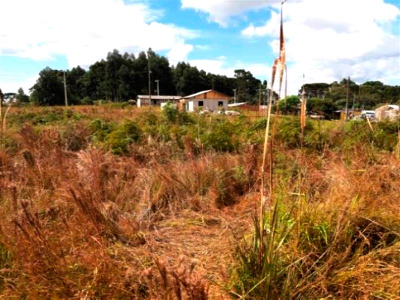 Lote n° 04, da Quadra "F", com área de 252,00 m², localizado no Residencial Colina Verde, Pinhão/PR