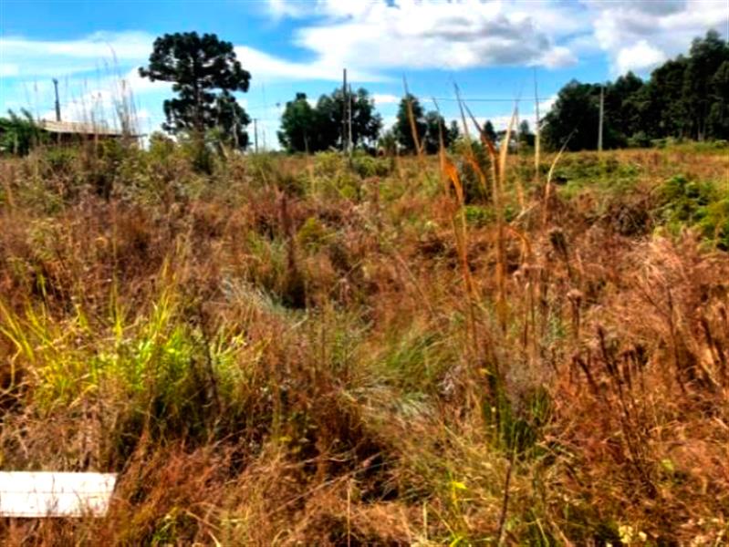 Lote n° 04, da Quadra "F", com área de 252,00 m², localizado no Residencial Colina Verde, Pinhão/PR