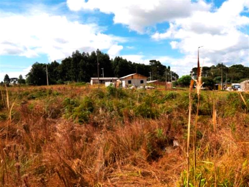 Lote n° 04, da Quadra "F", com área de 252,00 m², localizado no Residencial Colina Verde, Pinhão/PR