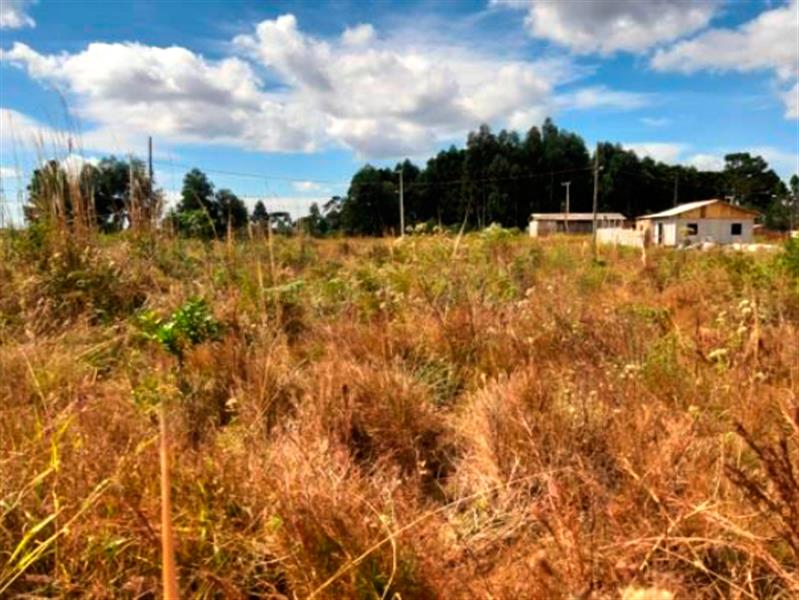 Lote n° 05, da Quadra "F", com área de 252,00 m², localizado no Residencial Colina Verde, Pinhão/PR