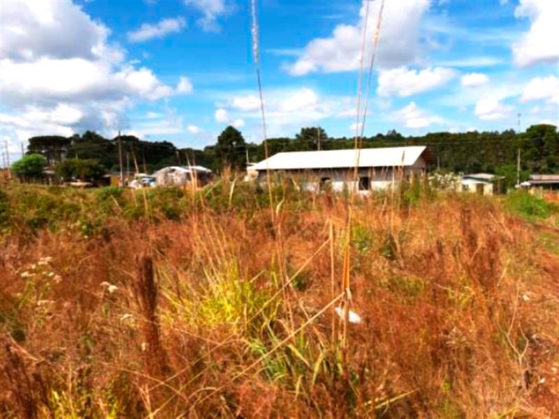 Lote n° 05, da Quadra "F", com área de 252,00 m², localizado no Residencial Colina Verde, Pinhão/PR