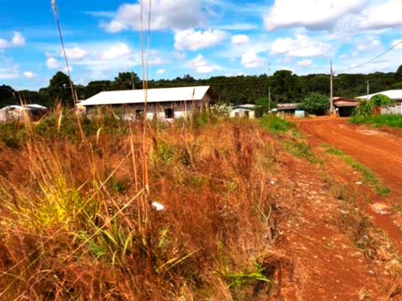 Lote n° 05, da Quadra "F", com área de 252,00 m², localizado no Residencial Colina Verde, Pinhão/PR