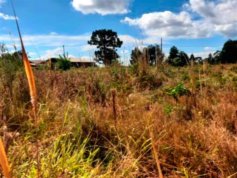 Lote n° 05, da Quadra "F", com área de 252,00 m², localizado no Residencial Colina Verde, Pinhão/PR