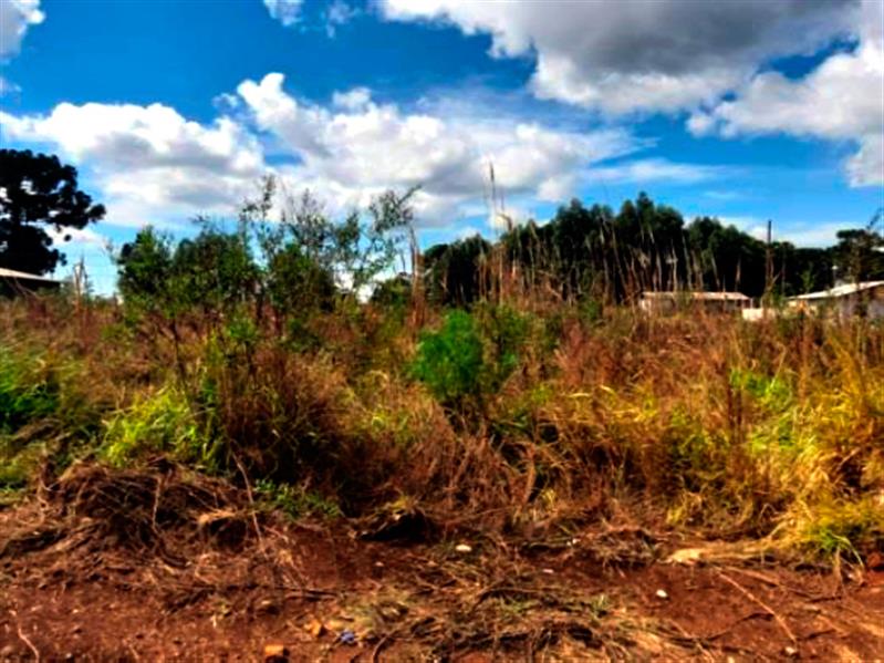 Lote n° 06, da Quadra "F", com área de 252,00 m², localizado no Residencial Colina Verde, Pinhão/PR