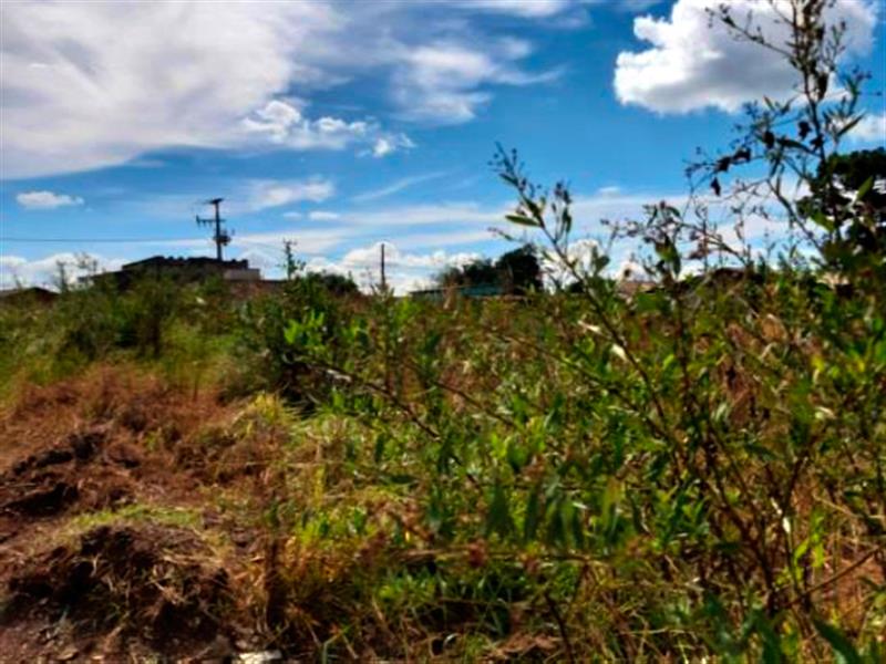 Lote n° 06, da Quadra "F", com área de 252,00 m², localizado no Residencial Colina Verde, Pinhão/PR