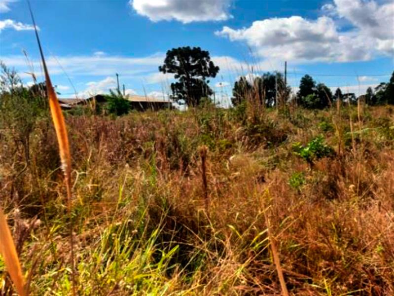 Lote n° 06, da Quadra "F", com área de 252,00 m², localizado no Residencial Colina Verde, Pinhão/PR