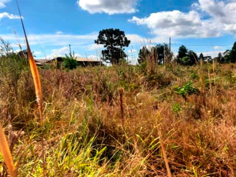 Lote n° 06, da Quadra "F", com área de 252,00 m², localizado no Residencial Colina Verde, Pinhão/PR